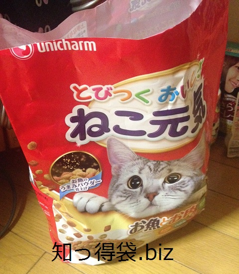 猫の大好きな食べ物って何？NGな食品もあるの？  役立つ・ためになる 