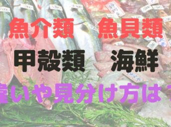 魚介類　魚貝類　甲殻類　海鮮　違い