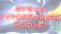 ナマケロ sv 見つからないどこにいる